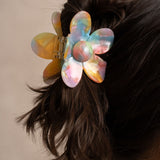 Pinces à cheveux bestini - Acétate Arc-en-ciel